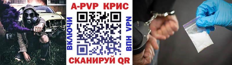 APVP СК  Кингисепп 