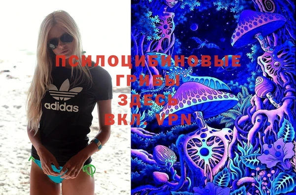 бошки Абинск